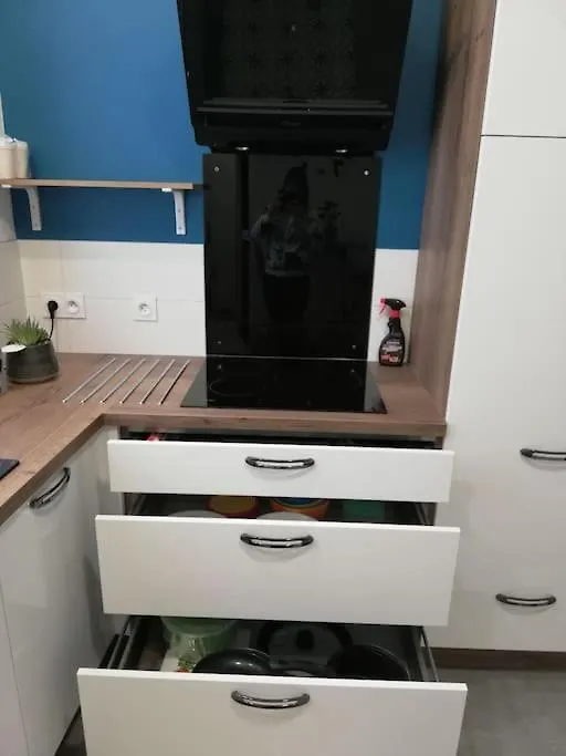 Bel Appartement Coeur De Grenoble Tout Equipe 0*,  France