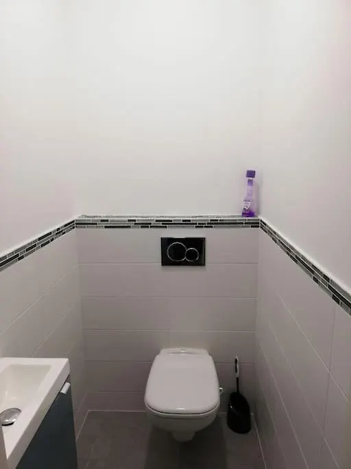 Bel Appartement Coeur De Grenoble Tout Equipe